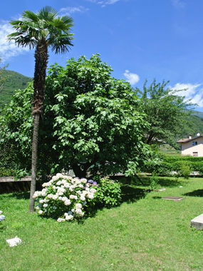 Gemeinschaftsgarten