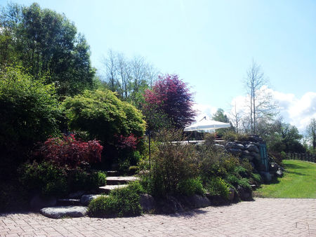 Ausschnitt vom Garten