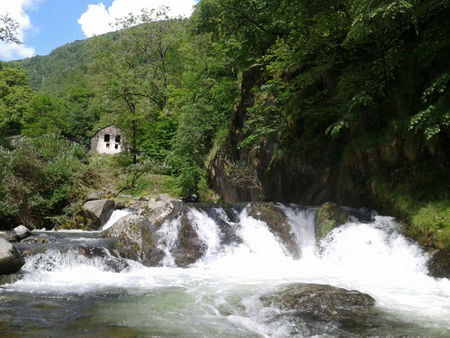 Giona Fluss