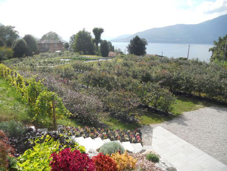 Anbau von Heidelbeeren und Gem�se
