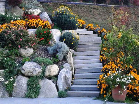 Treppe zur Terrasse