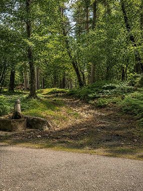 Weg zum Haus