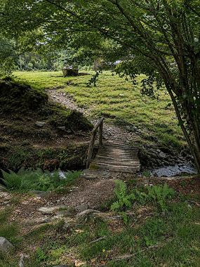 Weg zum Haus