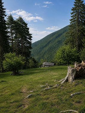Weg zum Haus